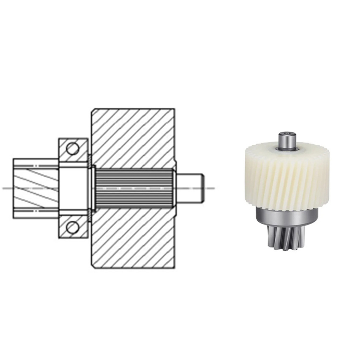 Tongsheng TSDZ2B ミッドドライブモーターアッ - Tongsheng Tsdz2B Mid Drive Motor のレビューと価格