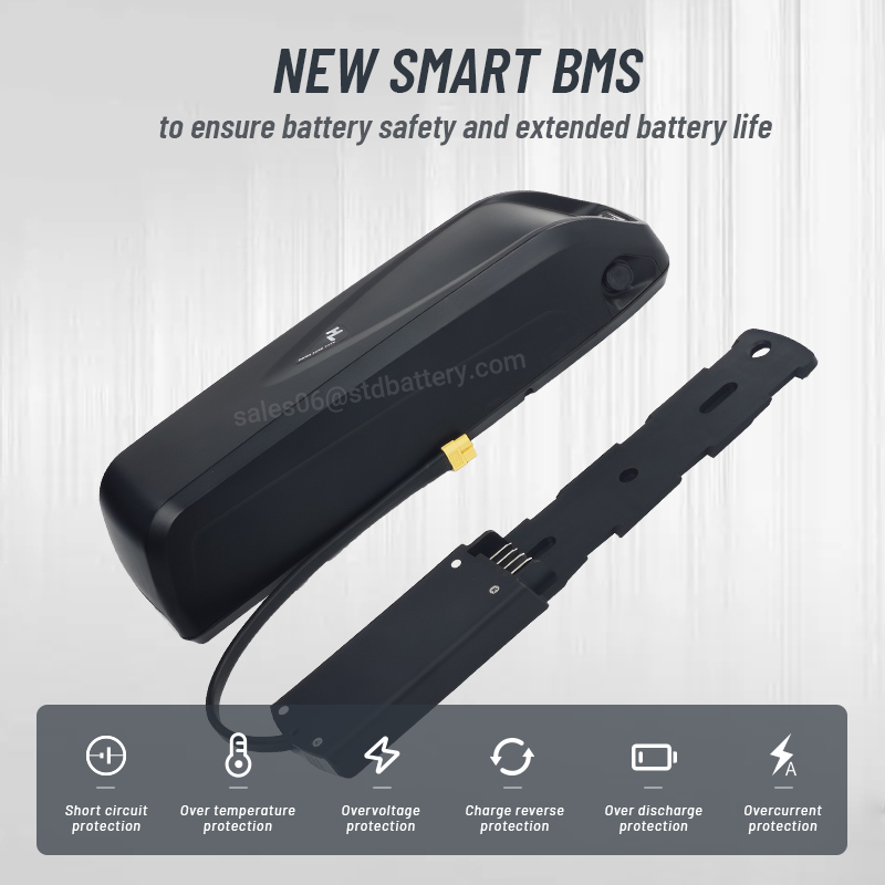 Hailong-電動自転車バッテリーパック,マウンテンバイク - Ebike Battery 48V 20Ah Hailong のレビューと価格